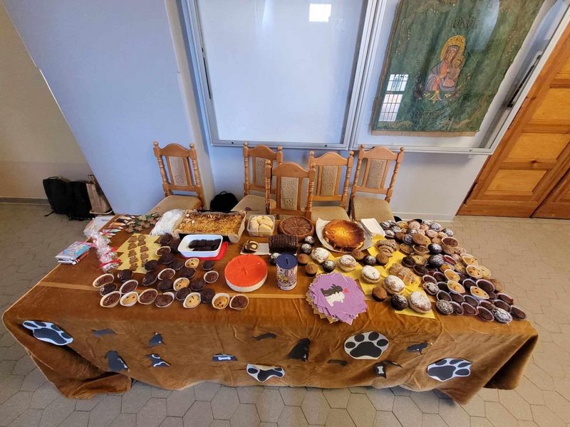 Kiermasz wypieków na rzecz OTOZ Animals